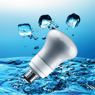 Luz de ahorro de energía R63 CFL con CE (BNF R63-A)